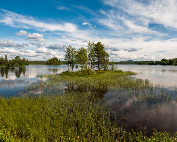 framsida
