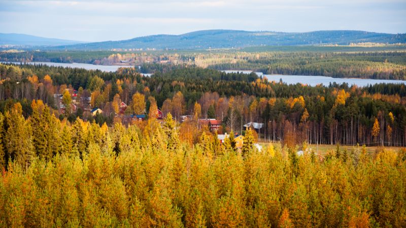 kattis framsida